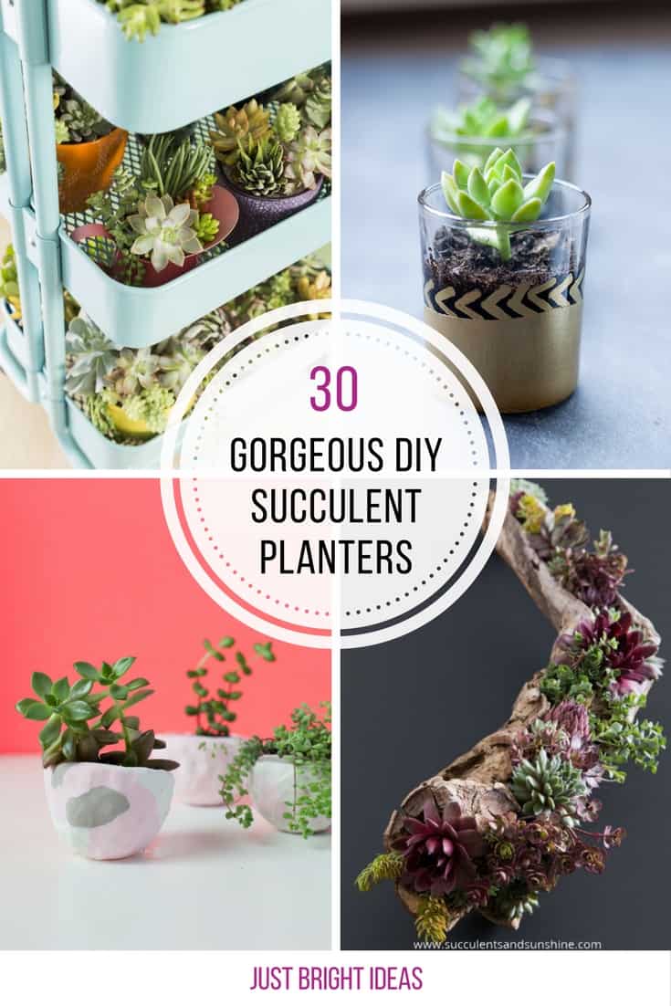 These DIY succulent planters are beautiful! Thanks for sharing!