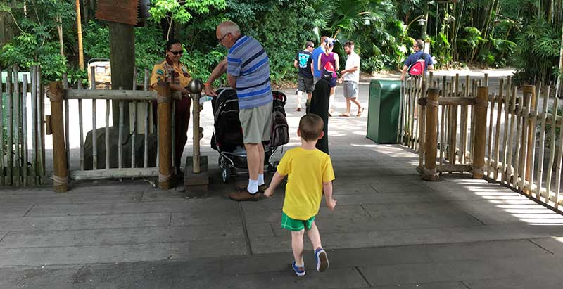 Secret Entrance to the Animal Kingdom