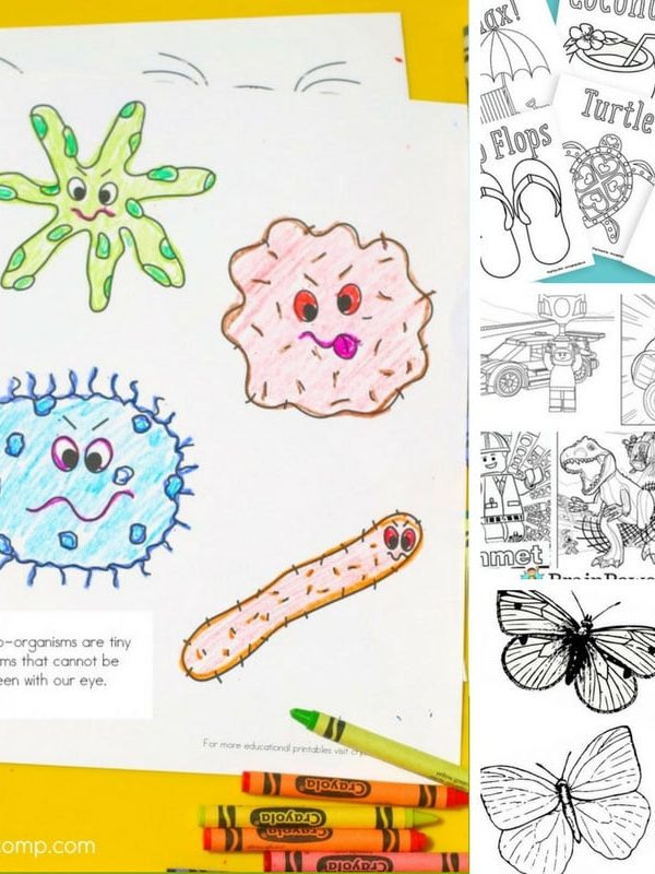 Coloring Pages for Kids to Color