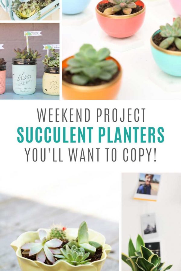 These DIY succulent planters are the perfect weekend project!