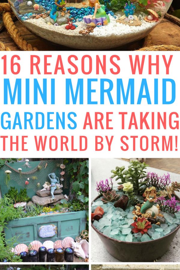Totally in love with these miniature mermaid gardens! Thanks for the inspiration!