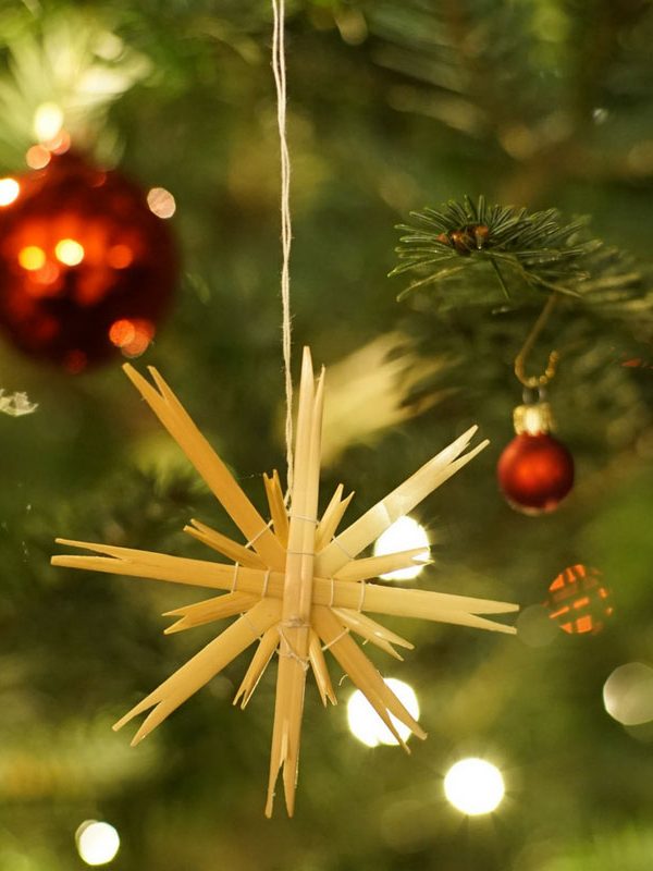 Ultimate Christmas Storage